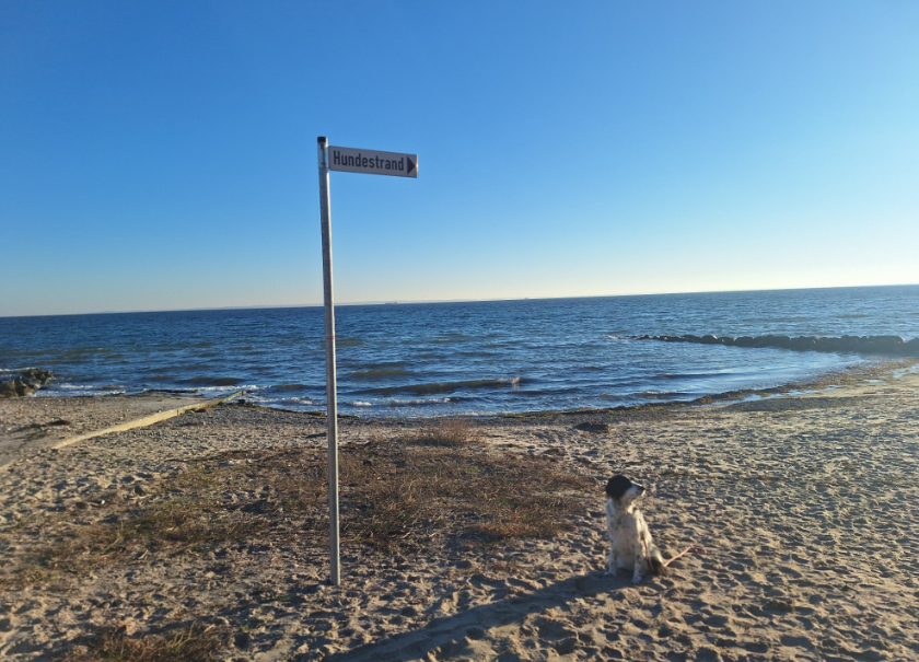 Strandzugang in Bliesdorf
